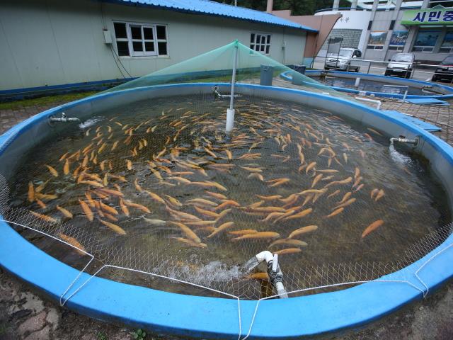 민물고기 전시관 열대어 수조 썸네일 이미지