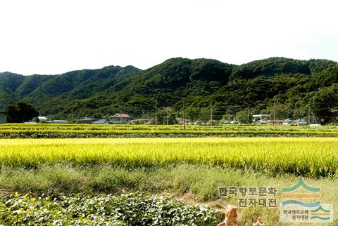 대표시청각 이미지