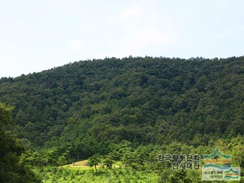 대표시청각 이미지