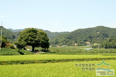 대표시청각 이미지