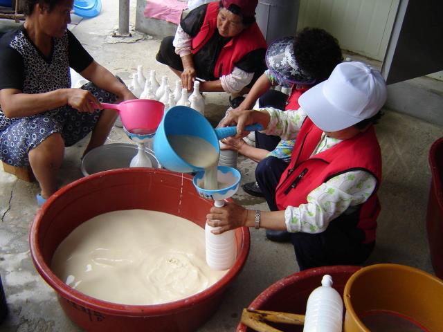 2008 삼척가시오가피축제 막걸리 만들기 썸네일 이미지