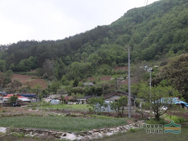 대표시청각 이미지